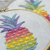 Pineapple rainbow hand embroidery hoop